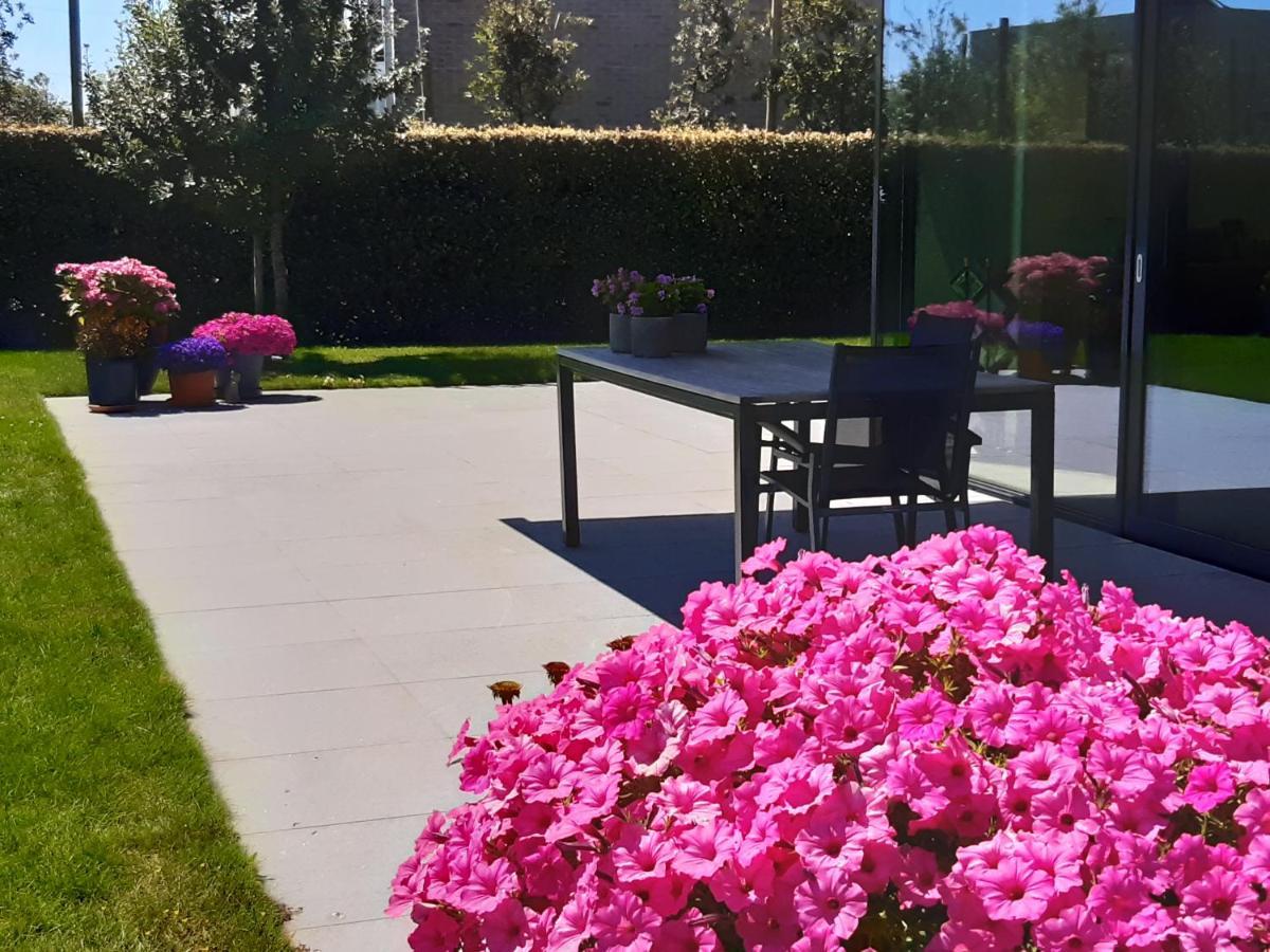 Bed & Breakfast Annelou *